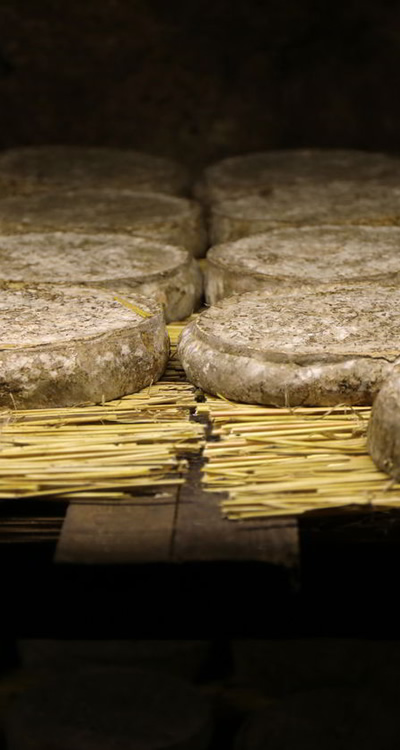 Discover secrets of traditional Italian cheesemaking